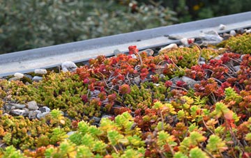 the cost of Cop Street green roof installation