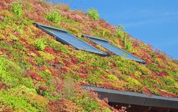 Cop Street living roof systems